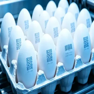 Egg Coding Solution with CIJ Inkjet Printer