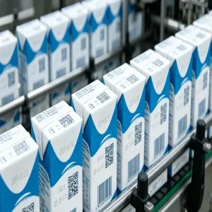 Tetra Pak Coding Solution with CIJ Inkjet Printer
